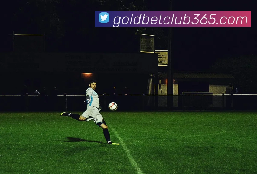 365体育发展历程